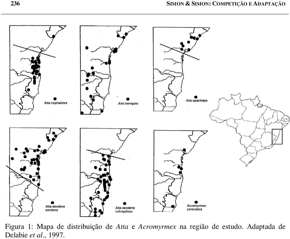 distribuição de Atta e Acromyrmex na