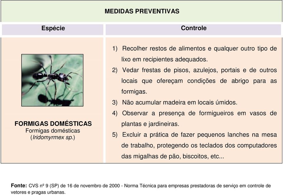 4) Observar a presença de formigueiros em vasos de plantas e jardineiras.