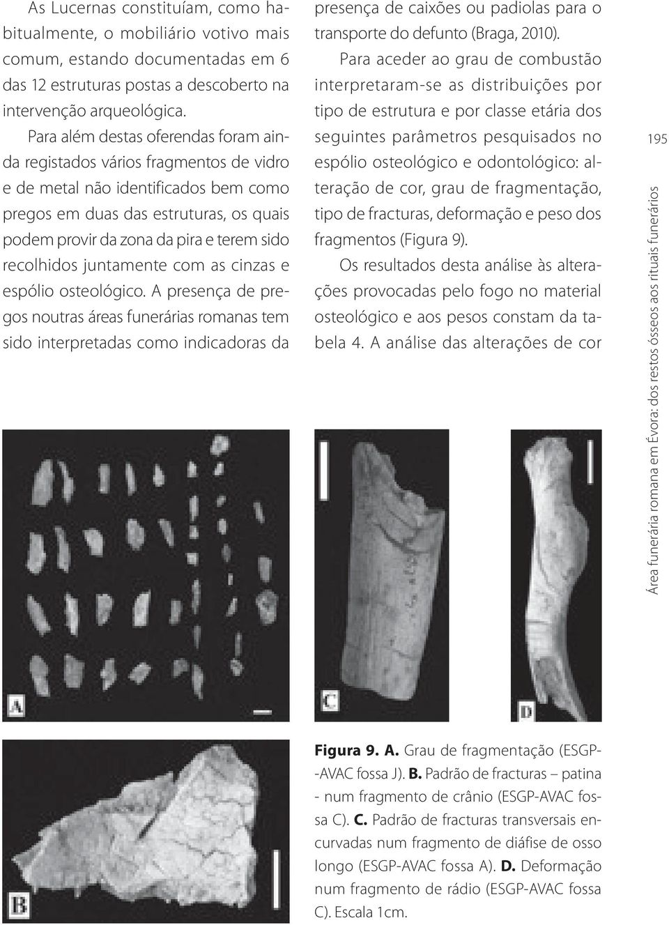 recolhidos juntamente com as cinzas e espólio osteológico.