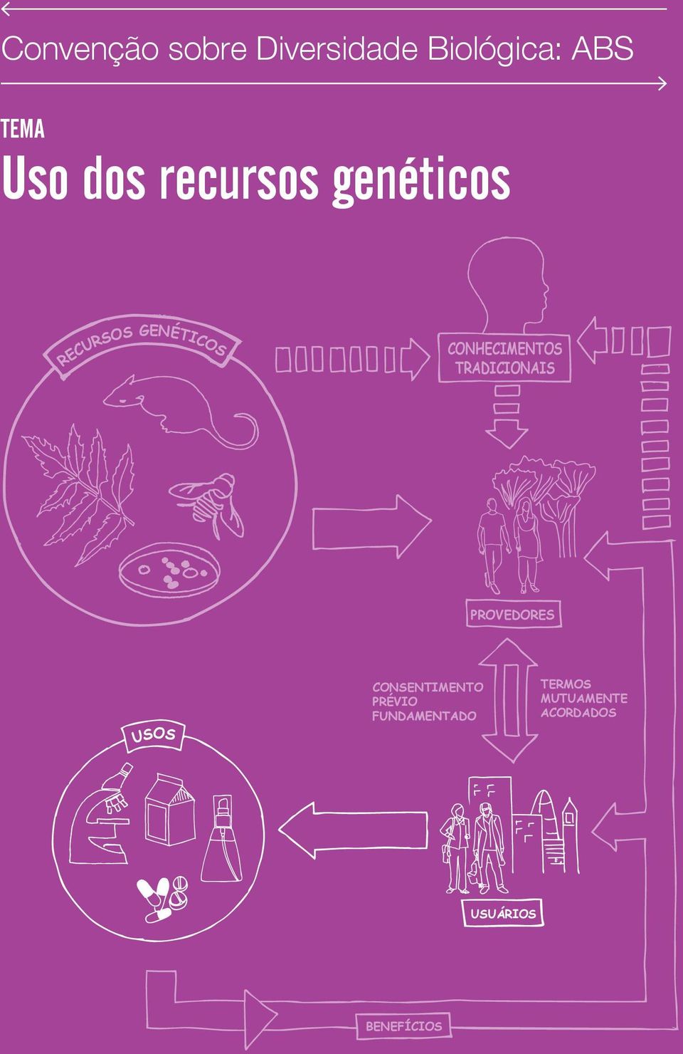 CONHECIMENTOS TRADICIONAIS PROVEDORES USOS