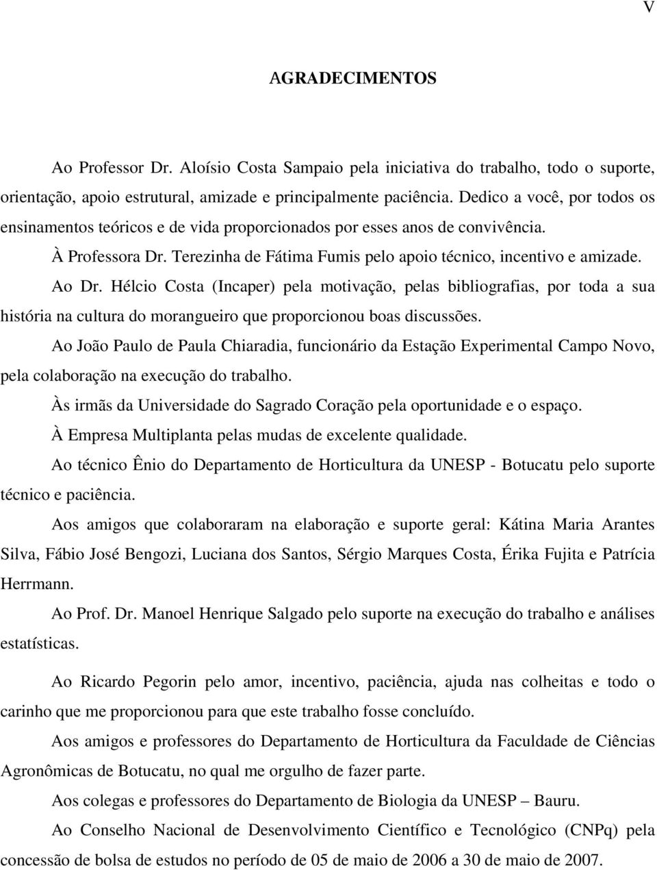 Hélcio Costa (Incaper) pela motivação, pelas bibliografias, por toda a sua história na cultura do morangueiro que proporcionou boas discussões.