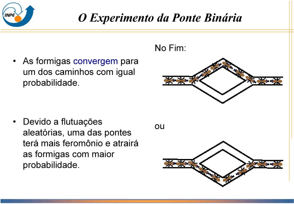 No Fim: Devido a flutuações aleatórias, uma das pontes