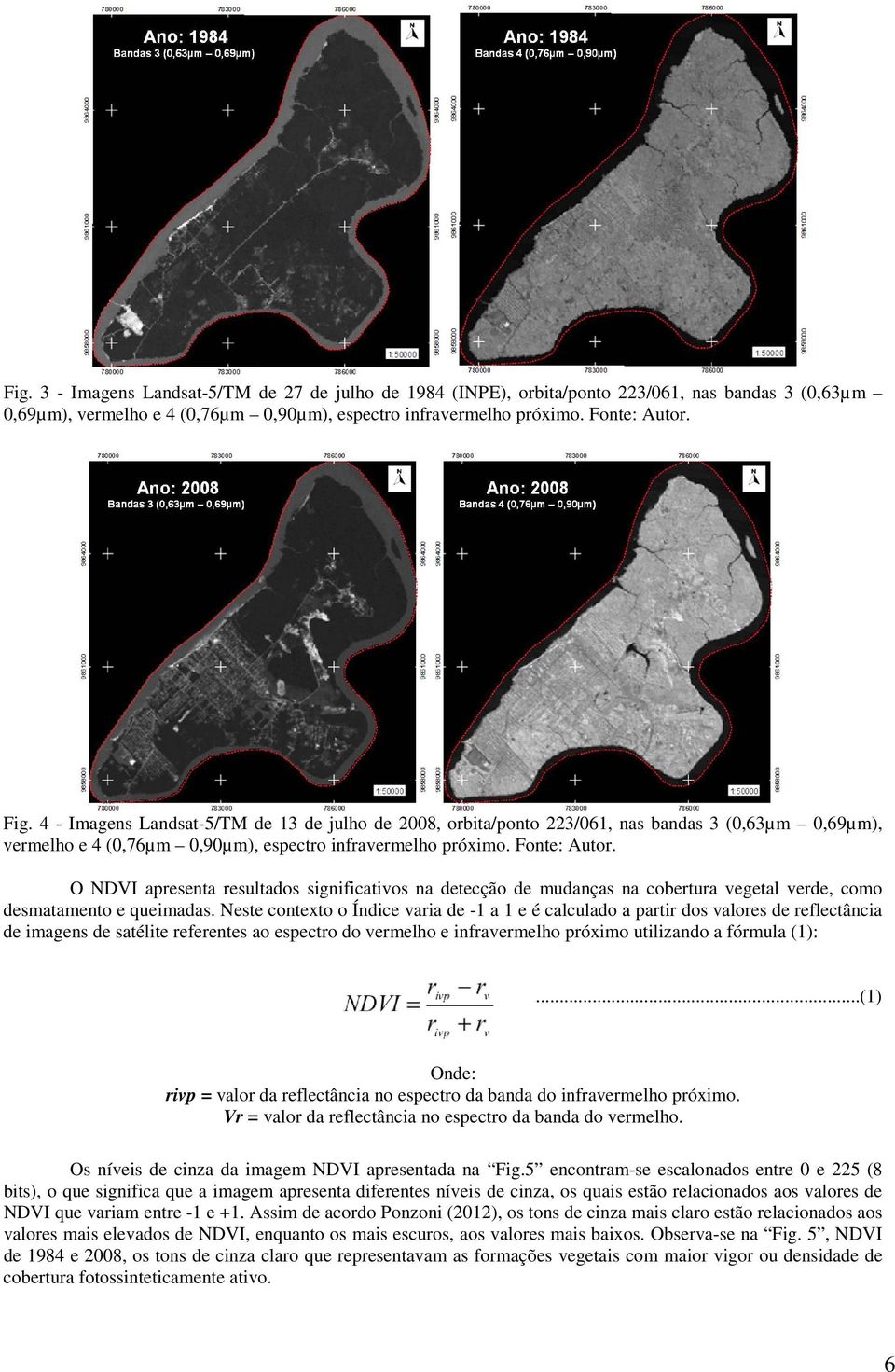 O NDVI apresenta resultados significativos na detecção de mudanças na cobertura vegetal verde, como desmatamento e queimadas.