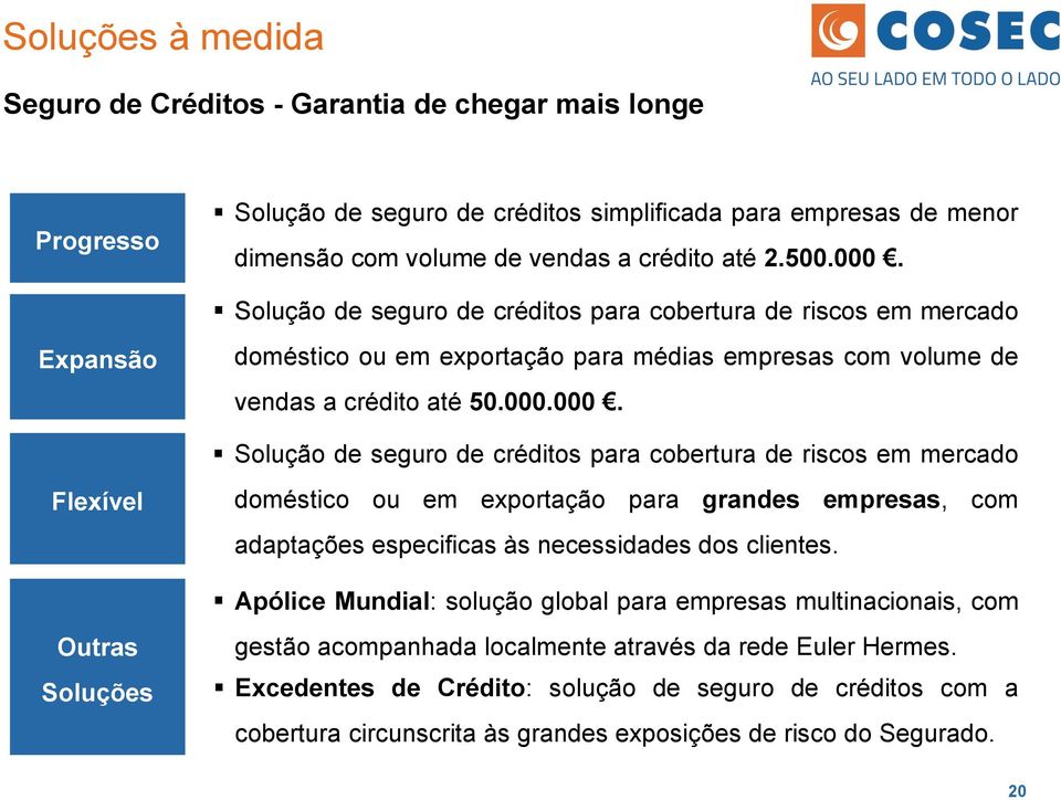 000. Solução de seguro de créditos para cobertura de riscos em mercado Flexível doméstico ou em exportação para grandes empresas, com adaptações especificas às necessidades dos clientes.