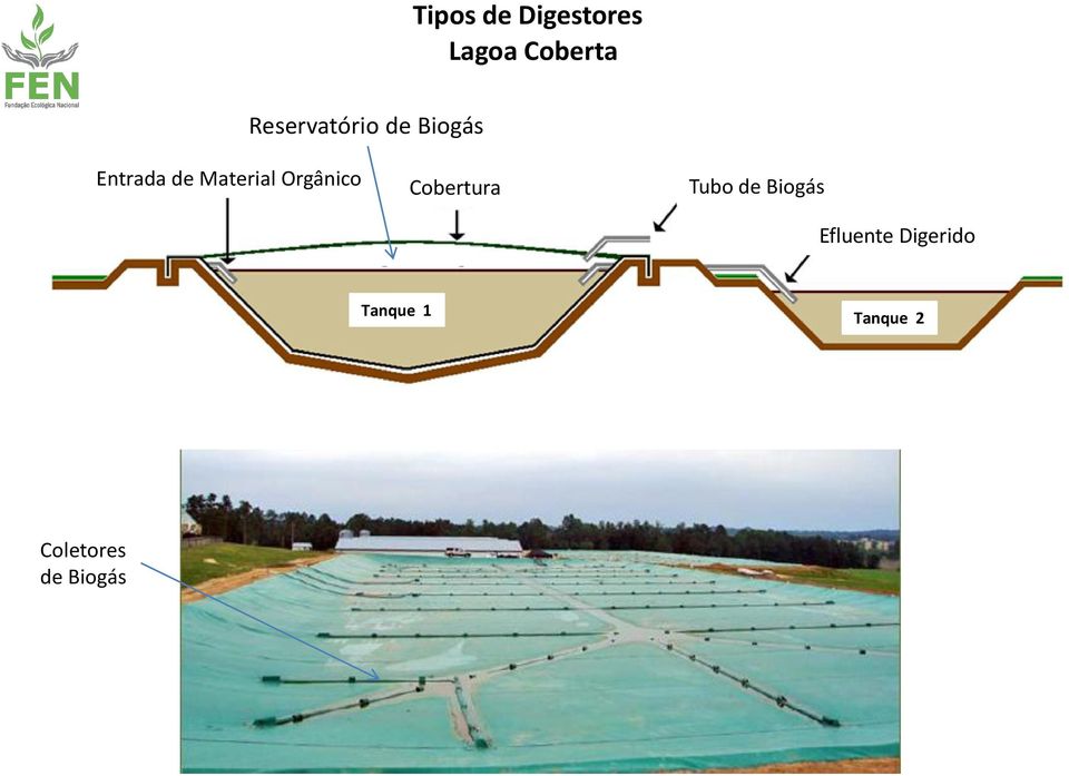 Material Orgânico Cobertura Tubo de