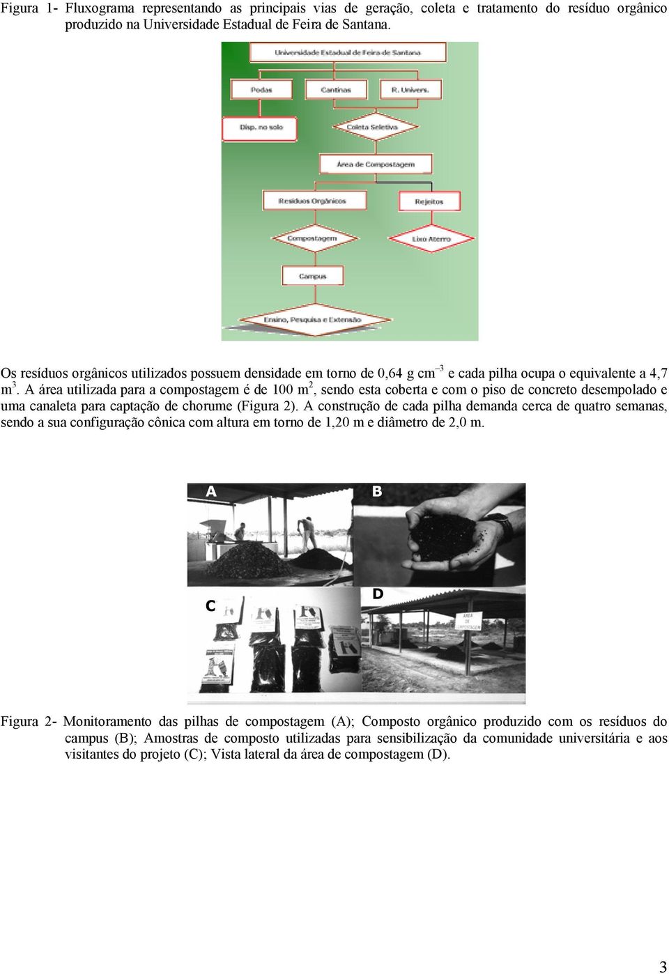 A área utilizada para a compostagem é de 100 m 2, sendo esta coberta e com o piso de concreto desempolado e uma canaleta para captação de chorume (Figura 2).