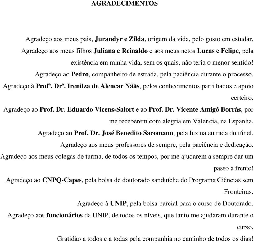 Agradeço ao Pedro, companheiro de estrada, pela paciência durante o processo. Agradeço à Profª. Drª. Irenilza de Alencar Nääs, pelos conhecimentos partilhados e apoio certeiro. Agradeço ao Prof. Dr. Eduardo Vicens-Salort e ao Prof.