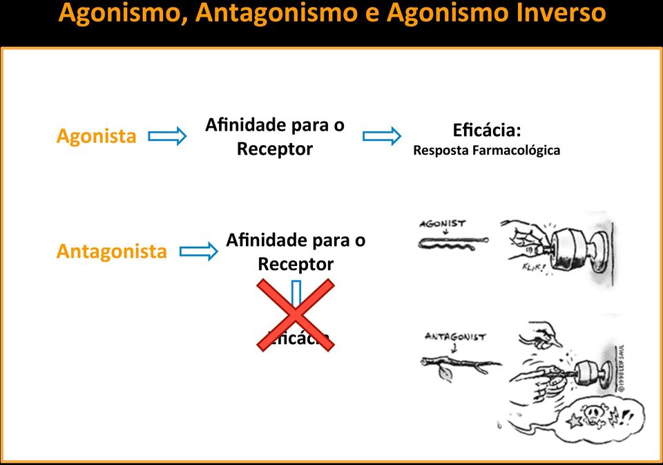 Receptor Eficácia: Resposta