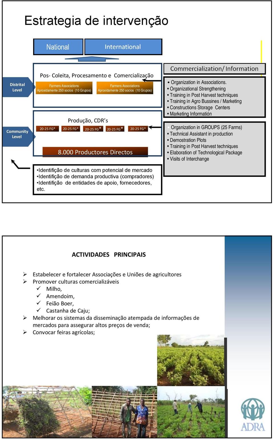 000 Productores Directos Identifição de culturas com potencial de mercado Identifição de demanda productiva (compradores) Identifição de entidades de apoio, fornecedores, etc.