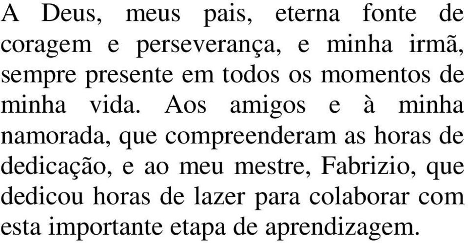 Aos amigos e à minha namorada, que compreenderam as horas de dedicação, e ao