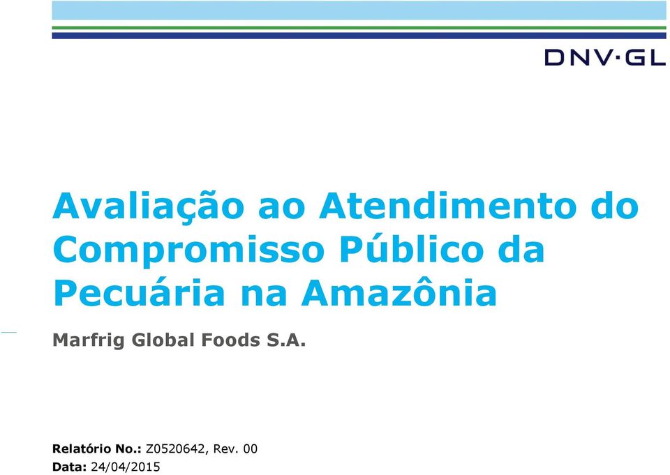 Amazônia Marfrig Global Foods.A. Relatório No.