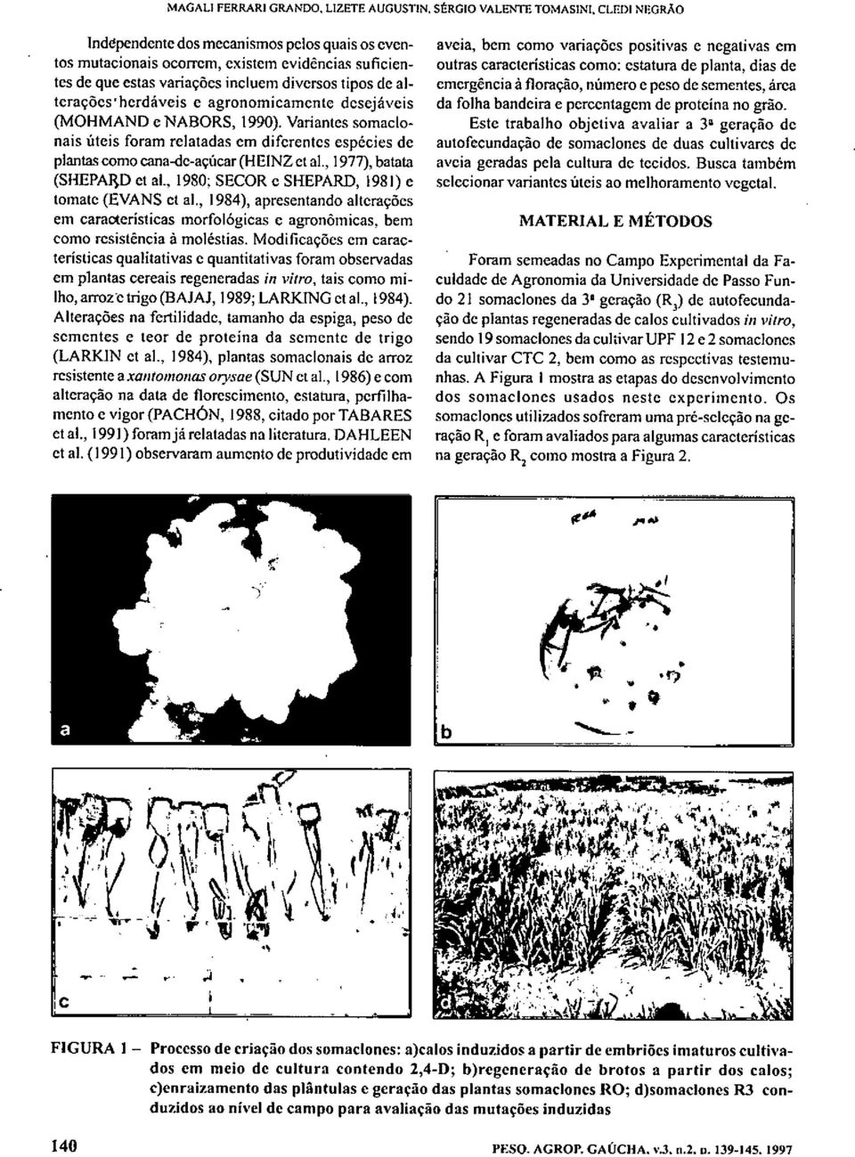, 1980; SECOR SHEPARD, 1981) tmat (EVANS t al., 1984), aprsntand altraçõs m caractrísticas mrflógicas agrnômicas, bm cm rsistência à mléstias.