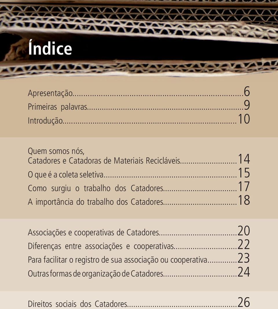 ..15 Como surgiu o trabalho dos Catadores...17 A importância do trabalho dos Catadores.