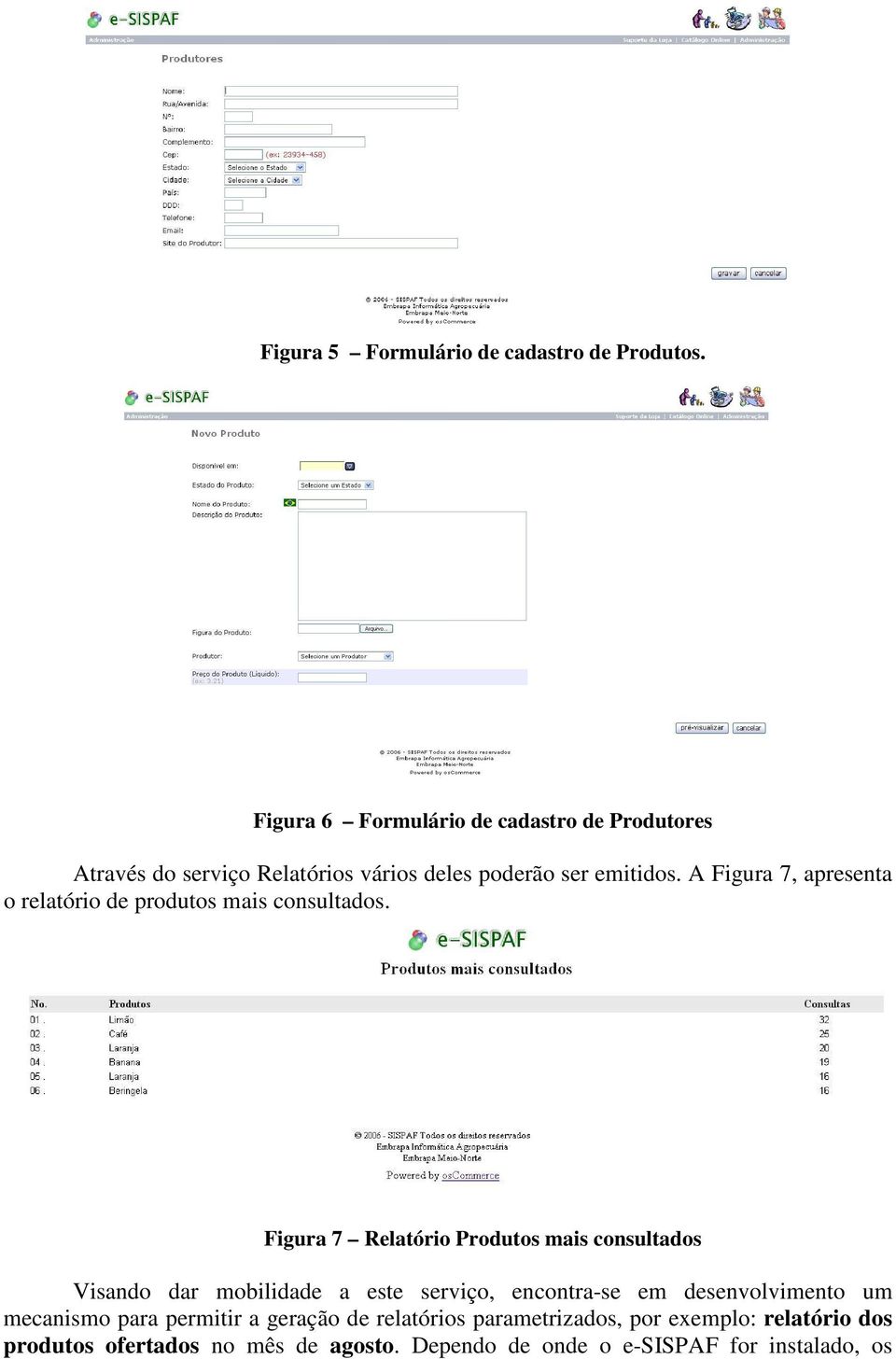 A Figura 7, apresenta o relatório de produtos mais consultados.