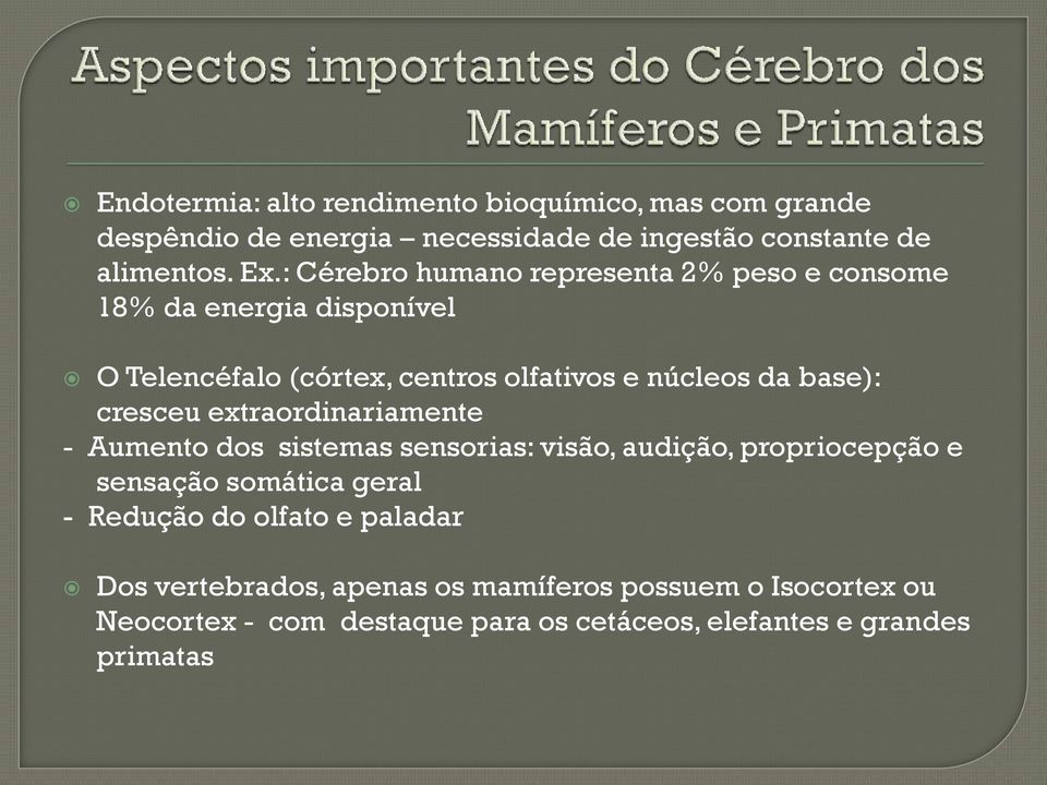 cresceu extraordinariamente - Aumento dos sistemas sensorias: visão, audição, propriocepção e sensação somática geral - Redução do