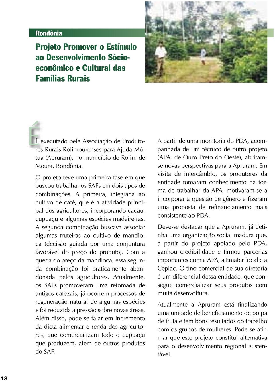 A primeira, integrada ao cultivo de café, que é a atividade principal dos agricultores, incorporando cacau, cupuaçu e algumas espécies madeireiras.