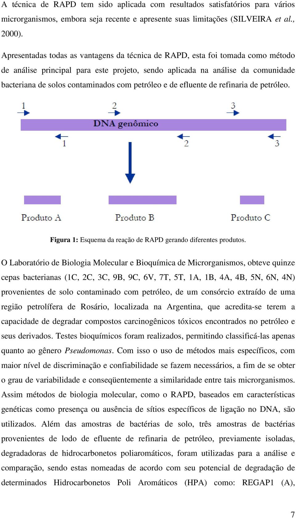 petróleo e de efluente de refinaria de petróleo. Figura 1: Esquema da reação de RAPD gerando diferentes produtos.