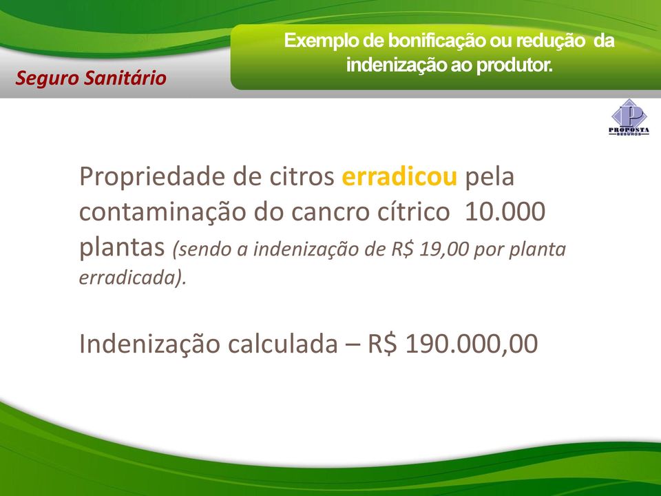 Propriedade de citros erradicou pela contaminação do cancro