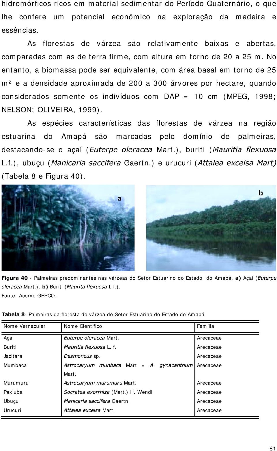 No entanto, a biomassa pode ser equivalente, com área basal em torno de 25 m² e a densidade aproximada de 200 a 300 árvores por hectare, quando considerados somente os indivíduos com DAP = 10 cm