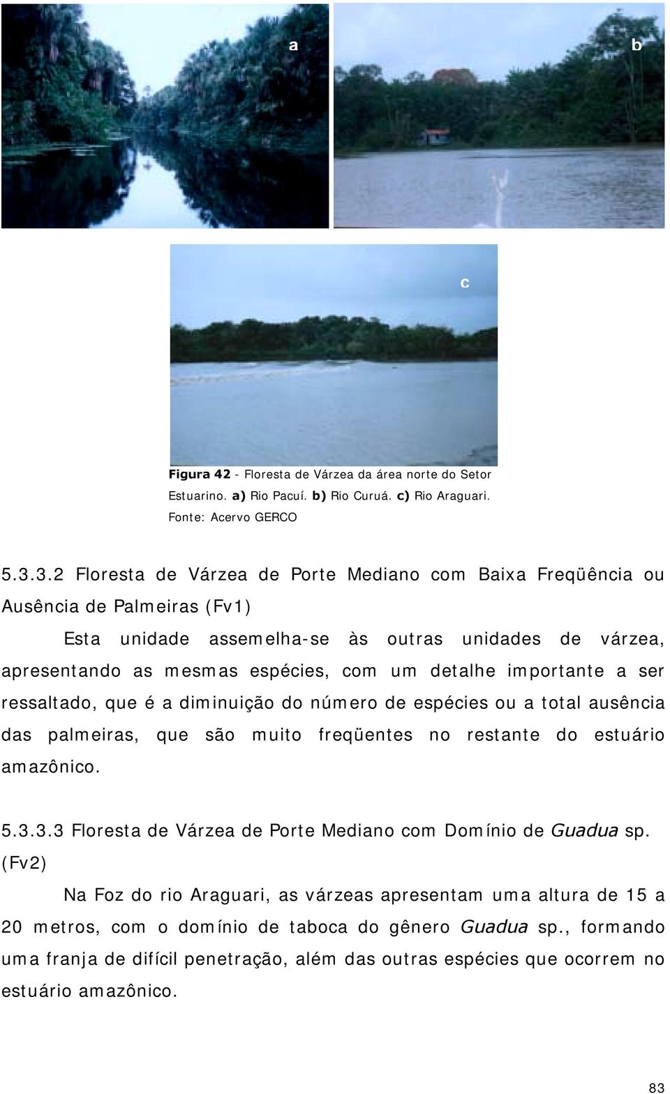 importante a ser ressaltado, que é a diminuição do número de espécies ou a total ausência das palmeiras, que são muito freqüentes no restante do estuário amazônico. 5.3.