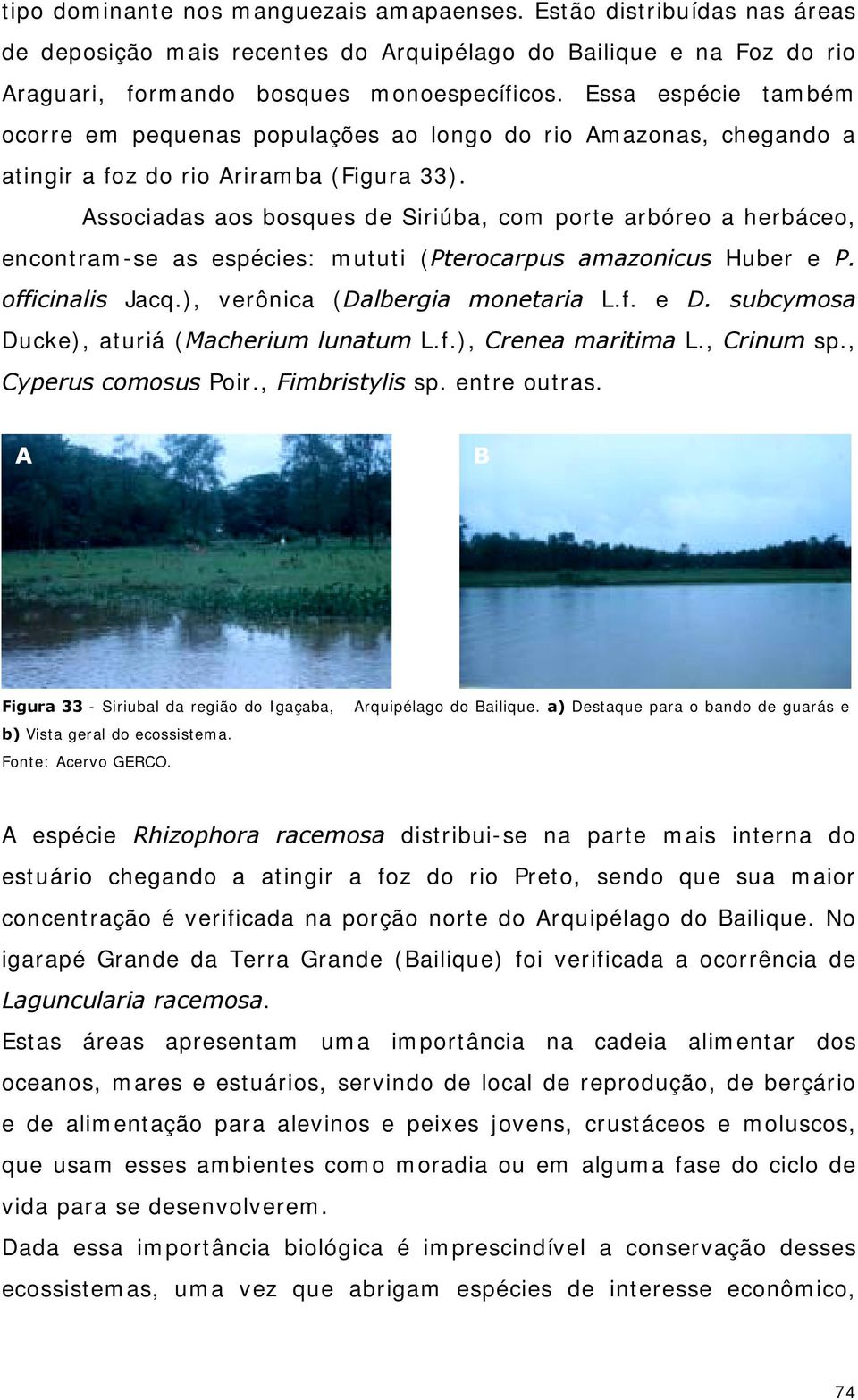 Associadas aos bosques de Siriúba, com porte arbóreo a herbáceo, encontram-se as espécies: mututi (Pterocarpus amazonicus Huber e P. officinalis Jacq.), verônica (Dalbergia monetaria L.f. e D.