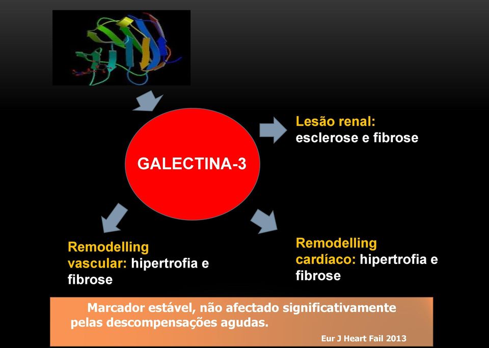 hipertrofia e fibrose Marcador estável, não afectado