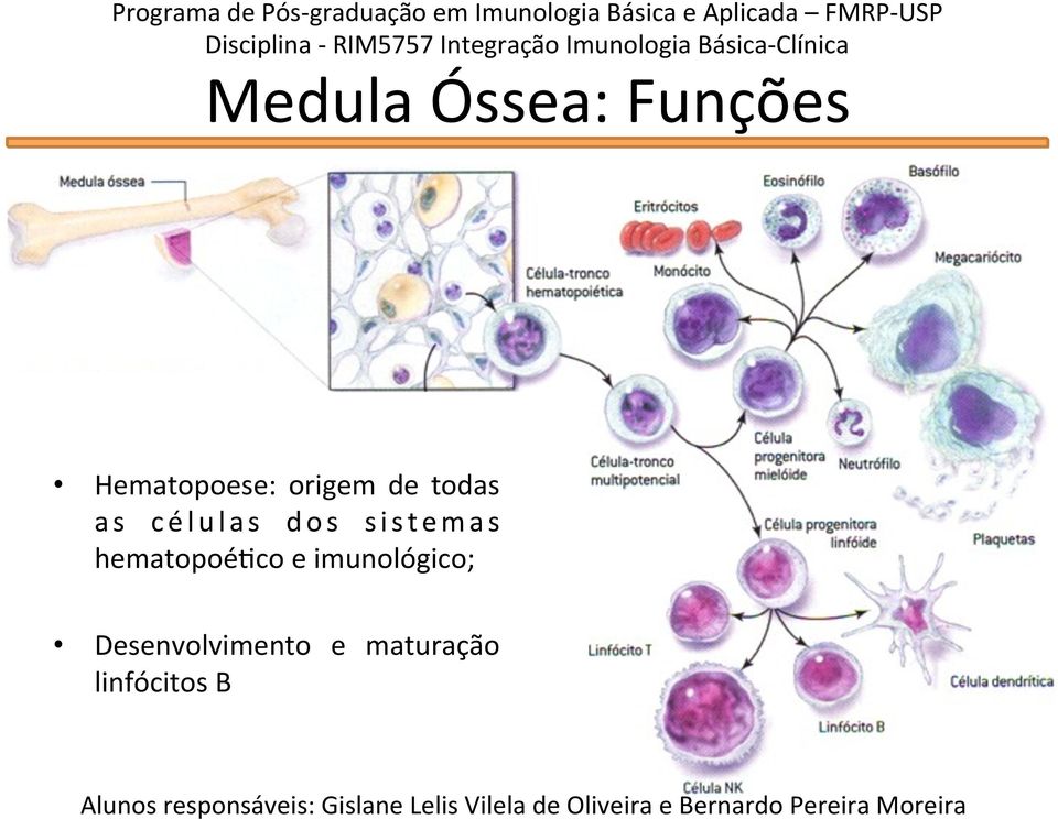 sistemas hematopoé'co e