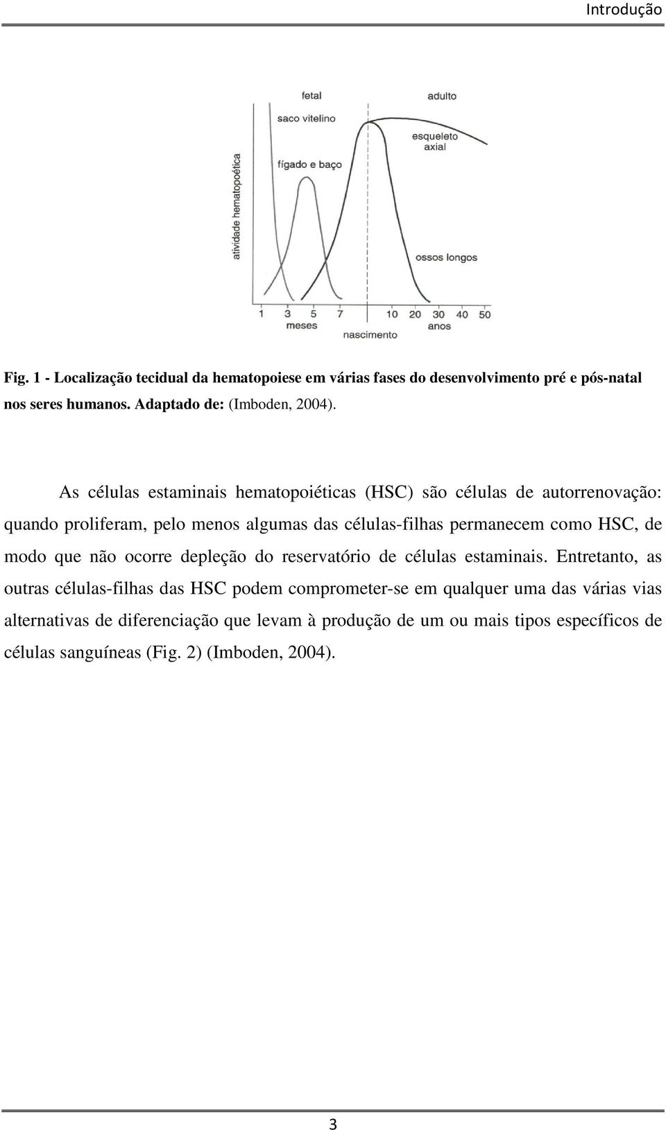 As células estaminais hematopoiéticas (HSC) são células de autorrenovação: quando proliferam, pelo menos algumas das células-filhas permanecem como HSC,