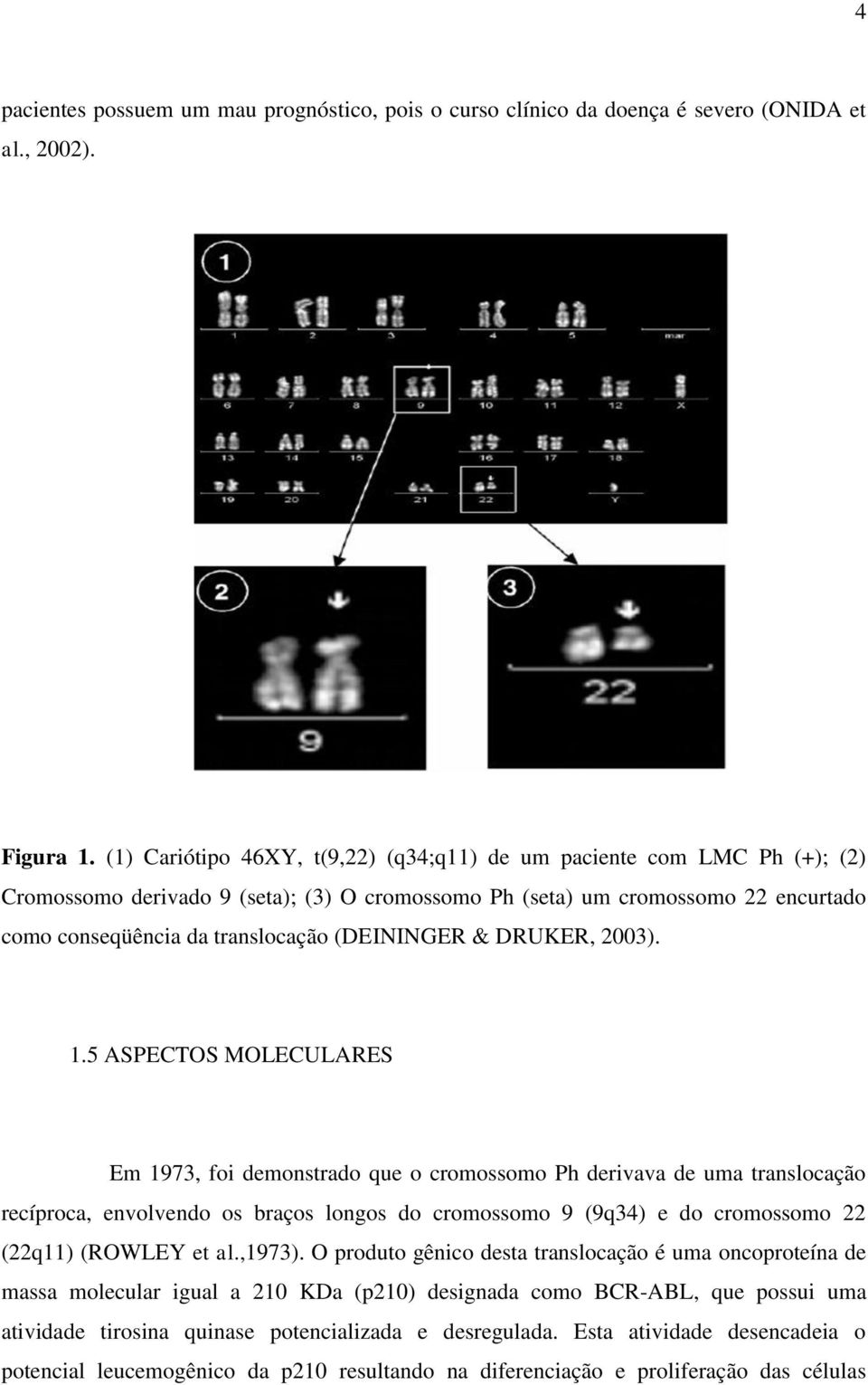 (DEININGER & DRUKER, 2003). 1.