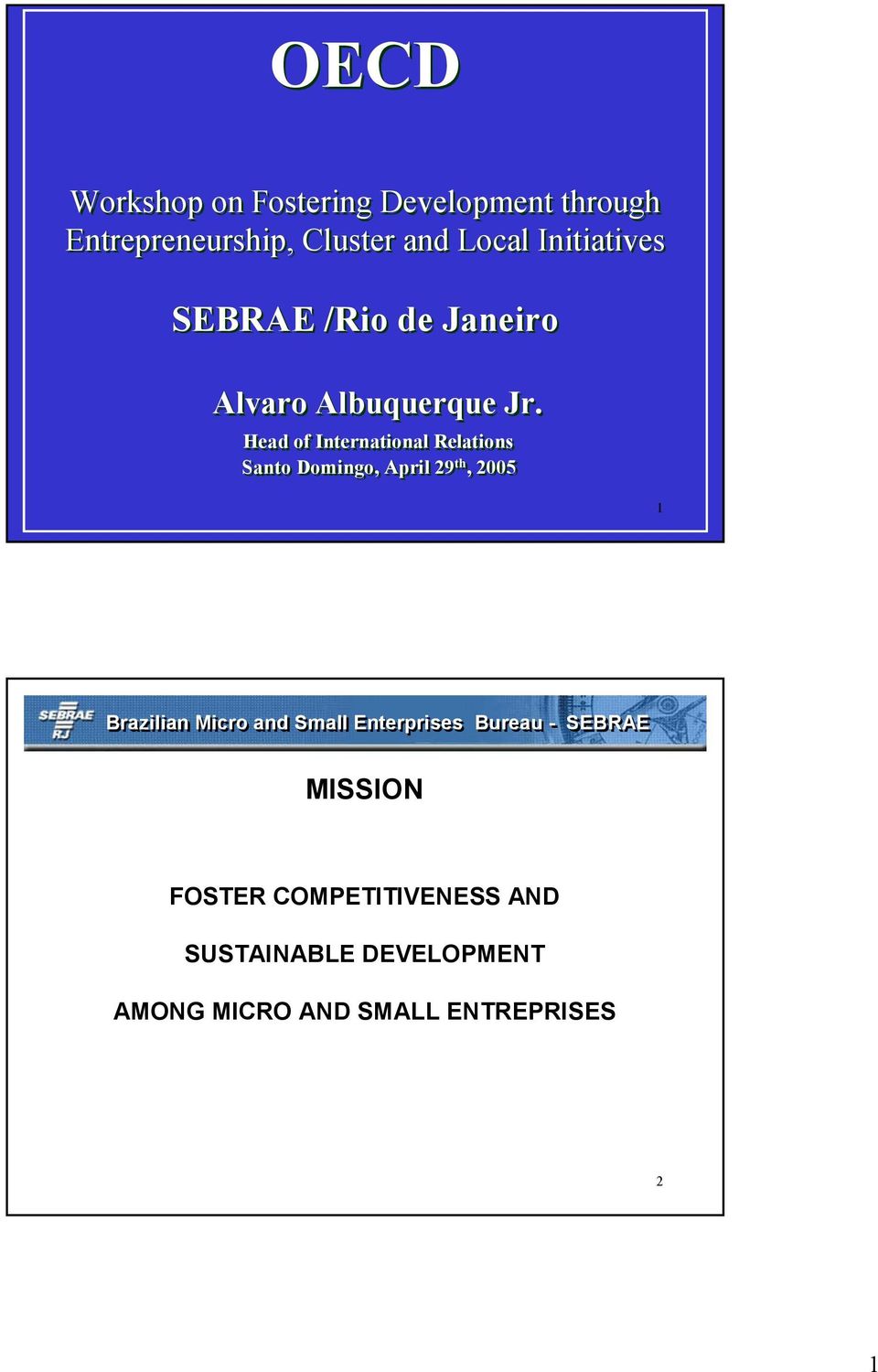 Head of International Relations Santo Domingo, April 29 th, 2005 1 Brazilian Micro and