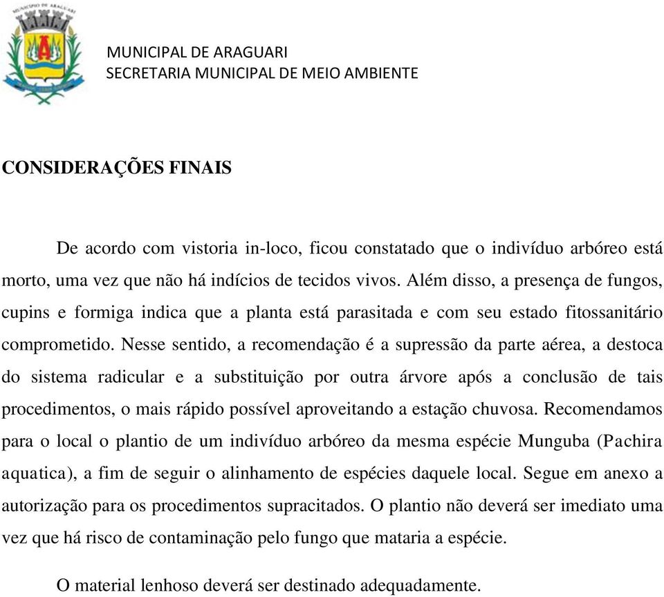 Nesse sentido, a recomendação é a supressão da parte aérea, a destoca do sistema radicular e a substituição por outra árvore após a conclusão de tais procedimentos, o mais rápido possível