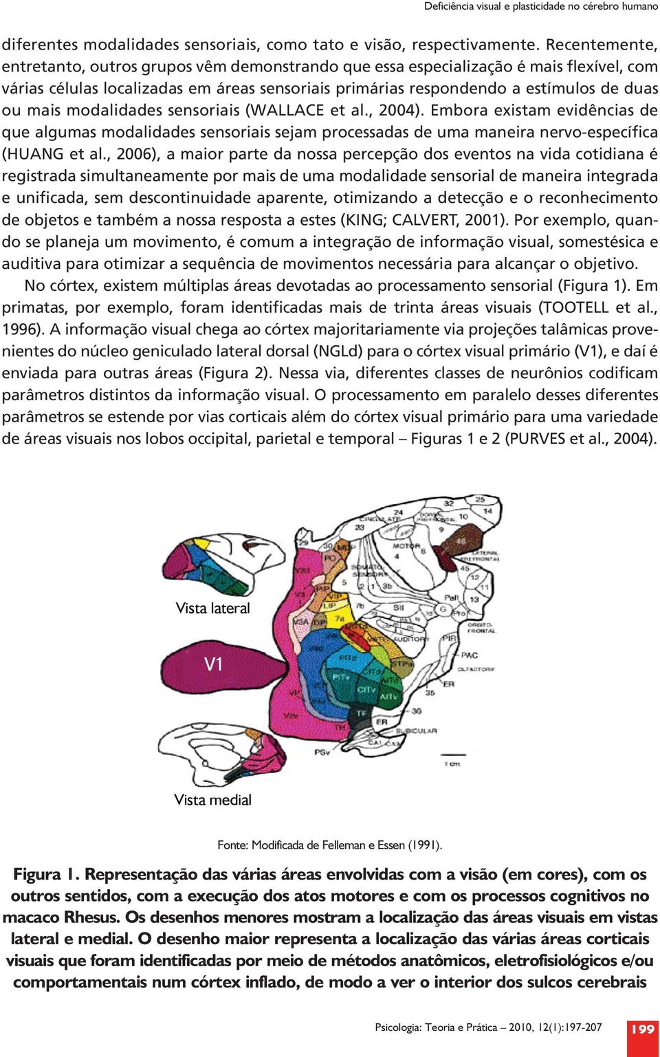 modalidades sensoriais (WALLACE et al., 2004). Embora existam evidências de que algumas modalidades sensoriais sejam processadas de uma maneira nervo-específica (HUANG et al.