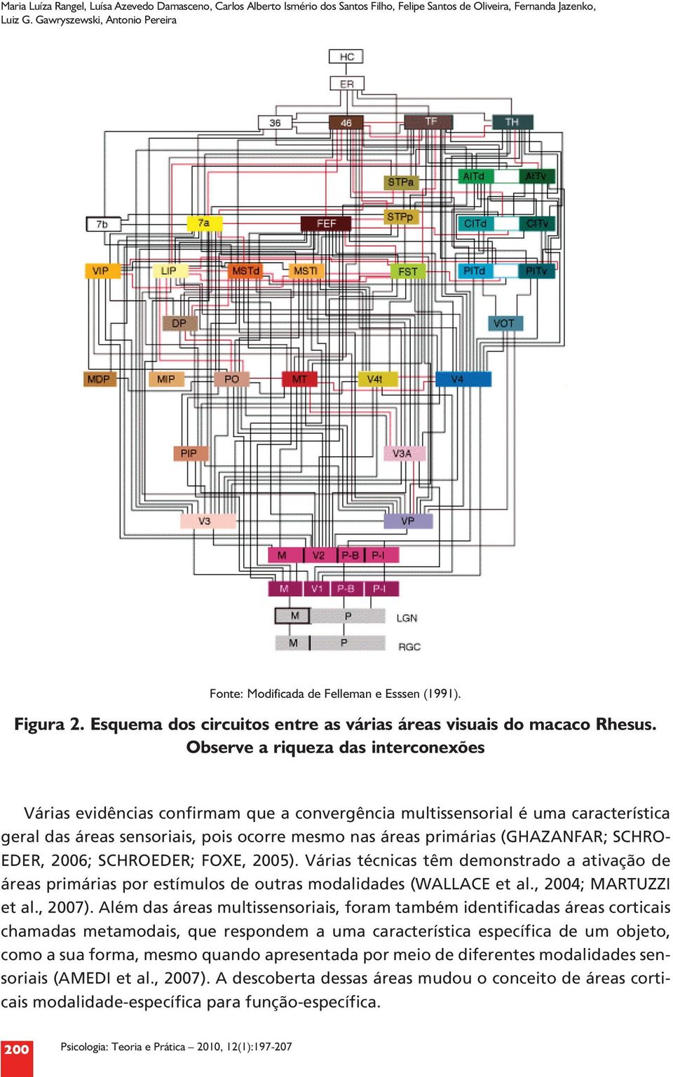 Observe a riqueza das interconexões Várias evidências confirmam que a convergência multissensorial é uma característica geral das áreas sensoriais, pois ocorre mesmo nas áreas primárias (GHAZANFAR;