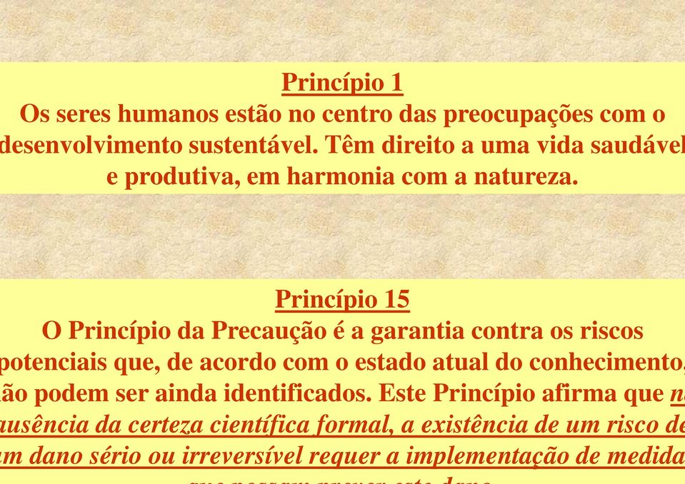 Princípio 15 O Princípio da Precaução é a garantia contra os riscos otenciais que, de acordo com o estado atual do