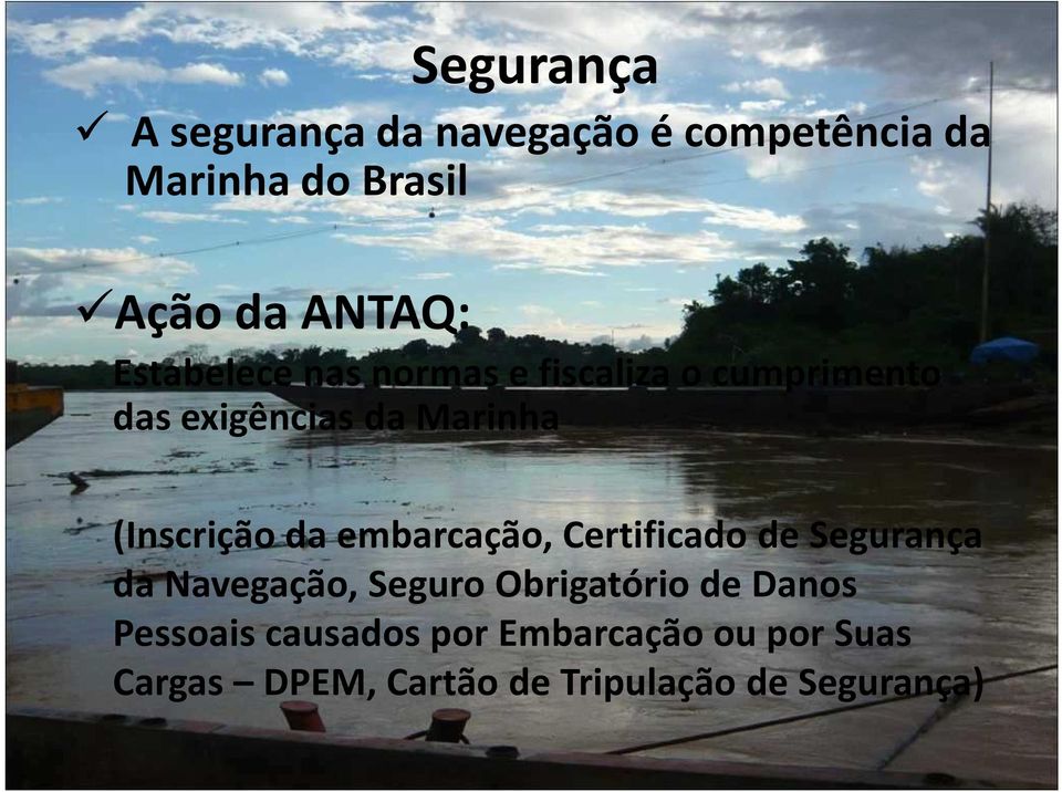 da embarcação, Certificado de Segurança da Navegação, Seguro Obrigatório de Danos