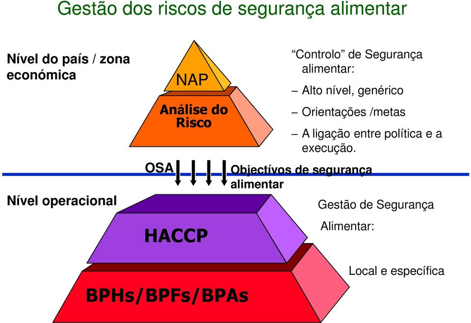 nível, genérico Orientações /metas A ligação entre política e a execução.