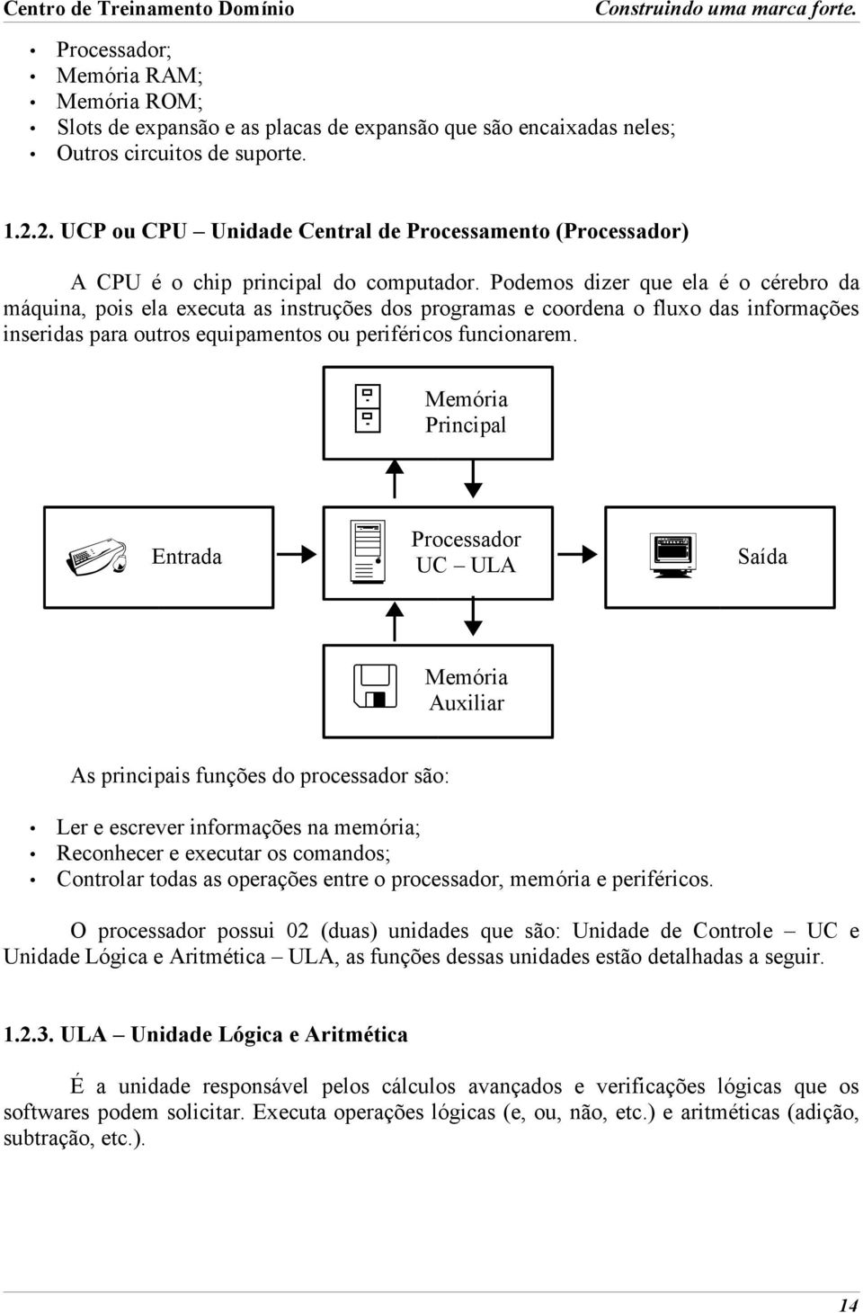 Podemos dizer que ela é o cérebro da máquina, pois ela executa as instruções dos programas e coordena o fluxo das informações inseridas para outros equipamentos ou periféricos funcionarem.