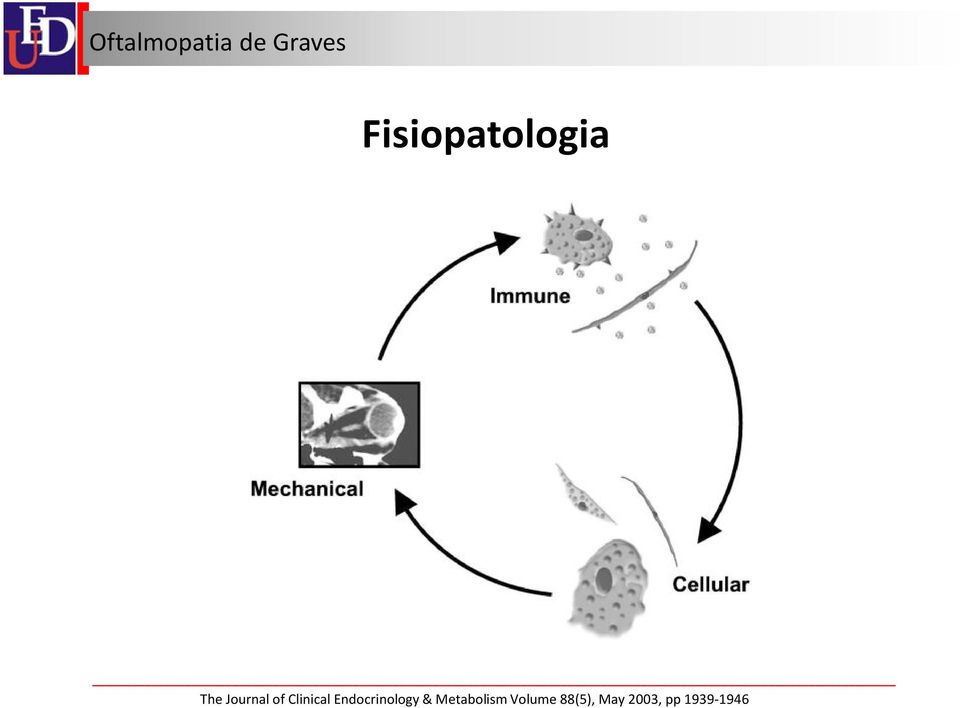 Endocrinology &