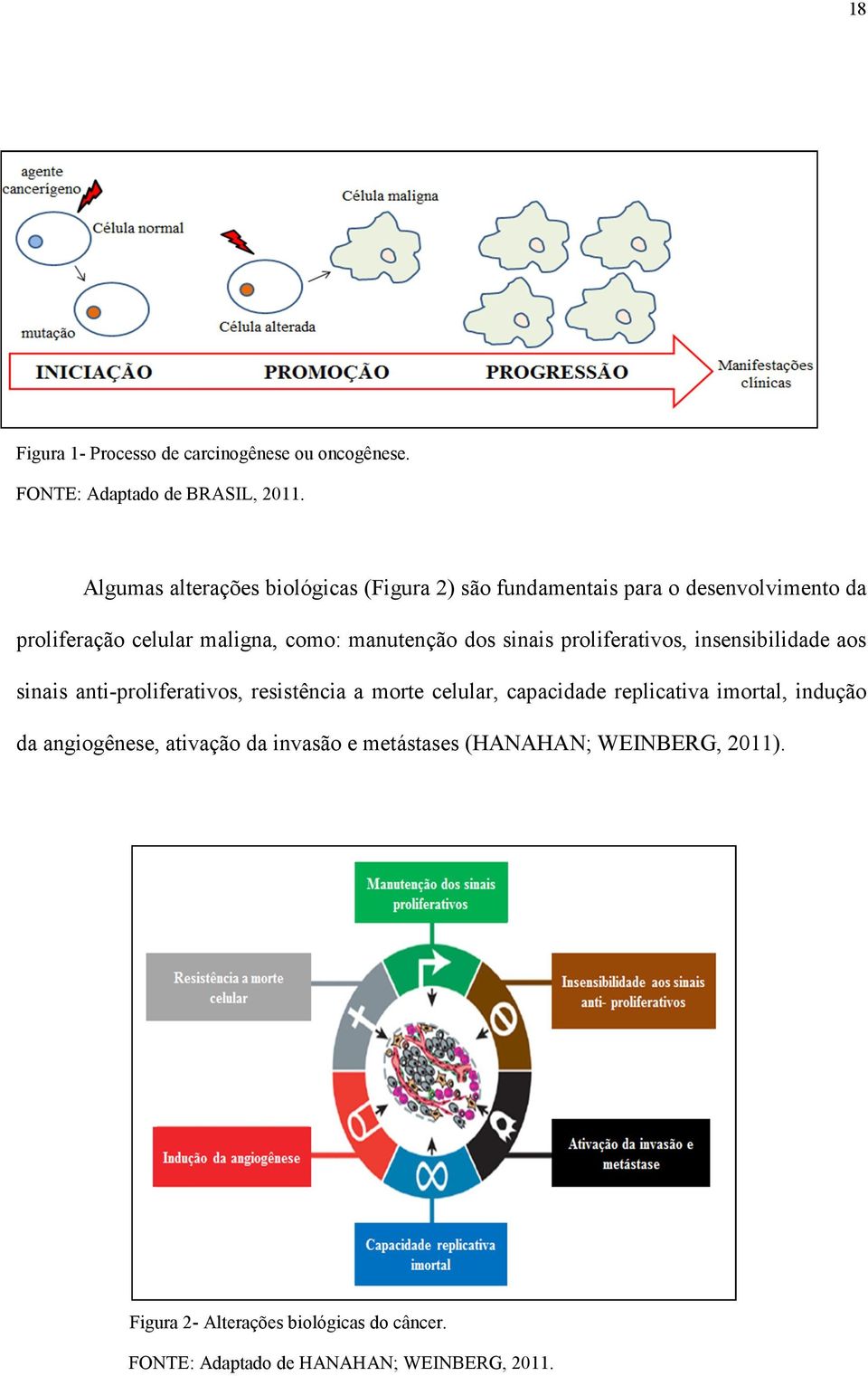 dos sinais proliferativos, insensibilidade aos sinais anti-proliferativos, resistência a morte celular, capacidade replicativa