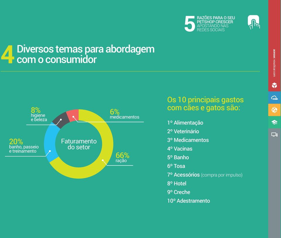 banho, passeio e treinamento Faturamento do setor 66% ração 3º Medicamentos 4º