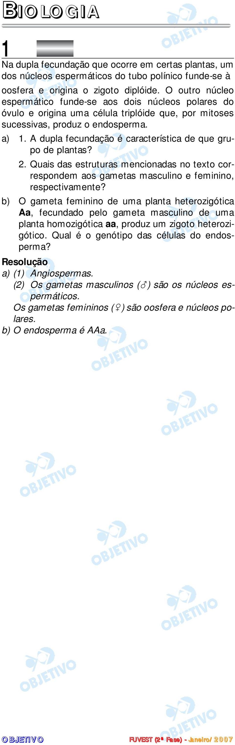 A dupla fecundação é característica de que grupo de plantas? 2. Quais das estruturas mencionadas no texto correspondem aos gametas masculino e feminino, respectivamente?