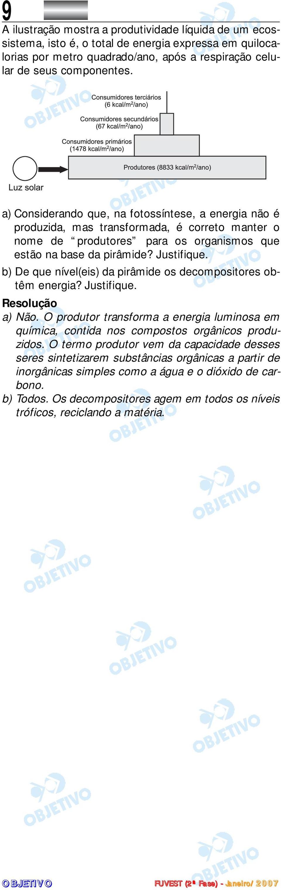 b) De que nível(eis) da pirâmide os decompositores obtêm energia? Justifique. a) Não. O produtor transforma a energia luminosa em química, contida nos compostos orgânicos produzidos.