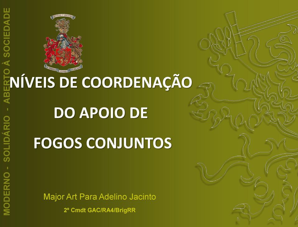 NÍVEIS DE COORDENAÇÃO EXÉRCITO DO APOIO DE PORTUGUÊS FOGOS CONJUNTOS