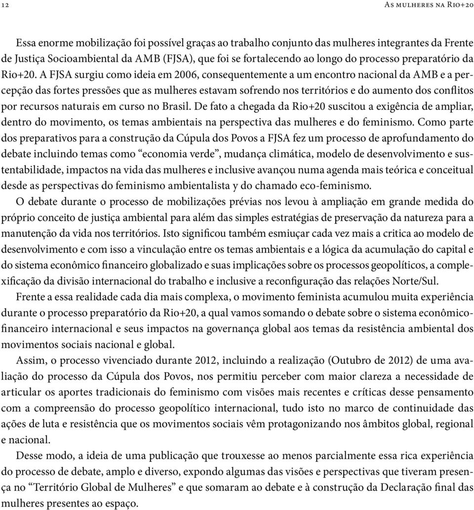 A FJSA surgiu como ideia em 2006, consequentemente a um encontro nacional da AMB e a percepção das fortes pressões que as mulheres estavam sofrendo nos territórios e do aumento dos conflitos por