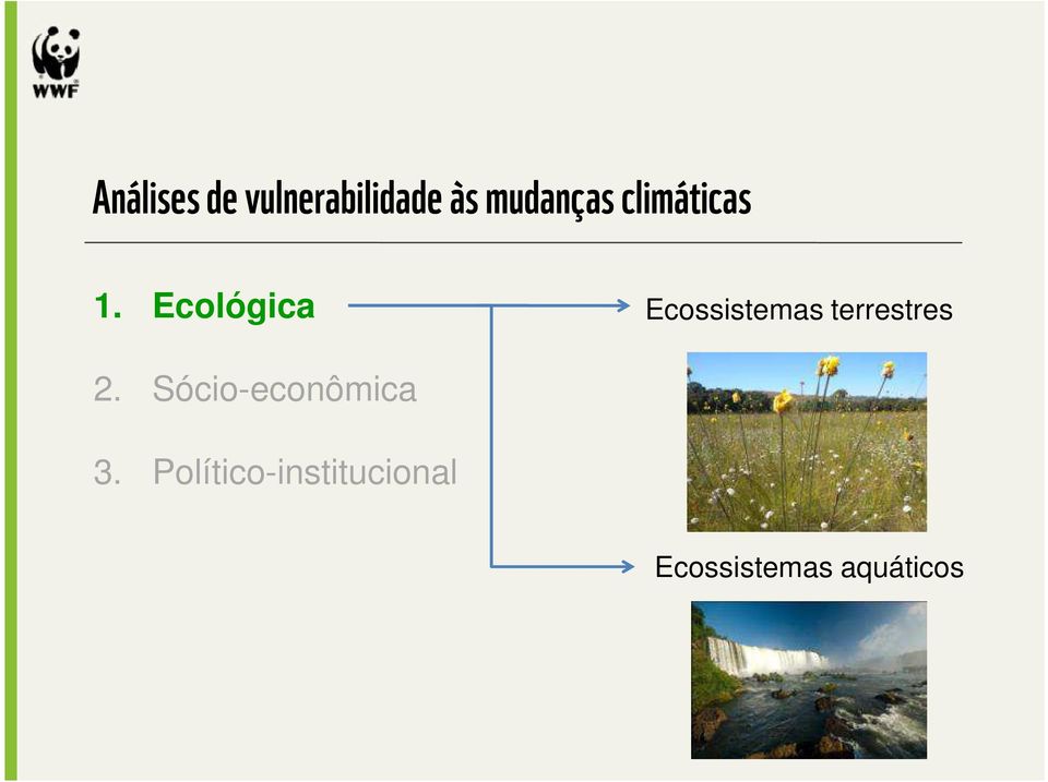 Ecológica Ecossistemas terrestres 2.