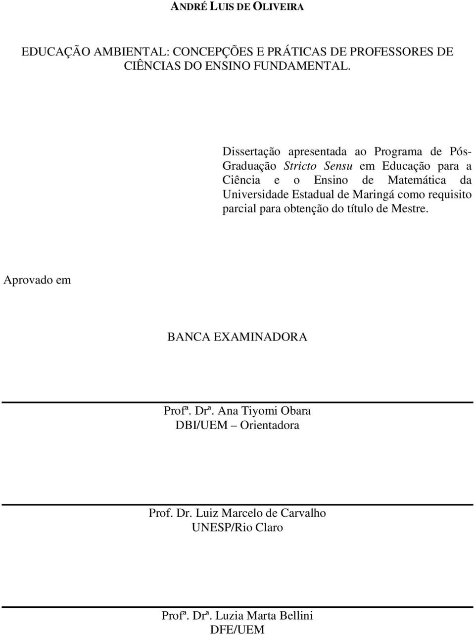 Universidade Estadual de Maringá como requisito parcial para obtenção do título de Mestre.