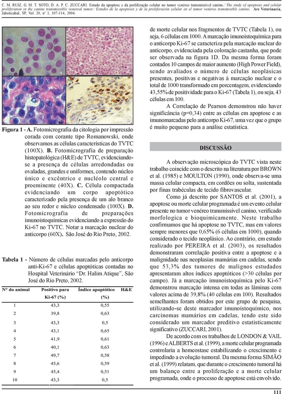 e proeminente (40X). C. Célula compactada evidenciando um corpo apoptótico caracterizado pela presença de um alo branco ao seu redor e núcleo condensado (100X). D.