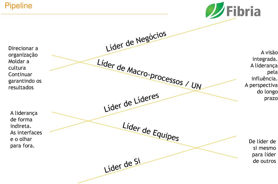 As interfaces e o olhar para fora. A visão integrada.