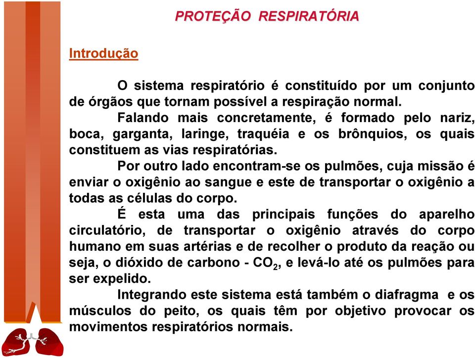 Por outro lado encontram-se os pulmões, cuja missão é enviar o oxigênio ao sangue e este de transportar o oxigênio a todas as células do corpo.