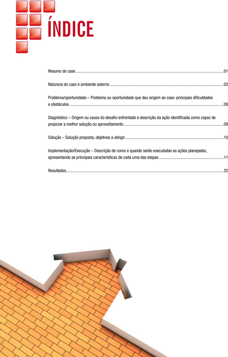 ..08 Diagnóstico Origem ou causa do desafio enfrentado e descrição da ação identificada como capaz de propiciar a melhor solução ou